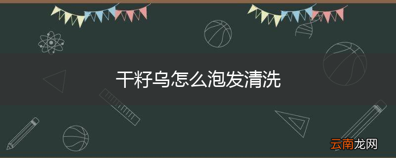 干籽乌怎么泡发清洗
