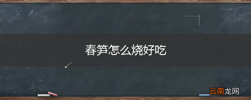 春笋怎么烧好吃