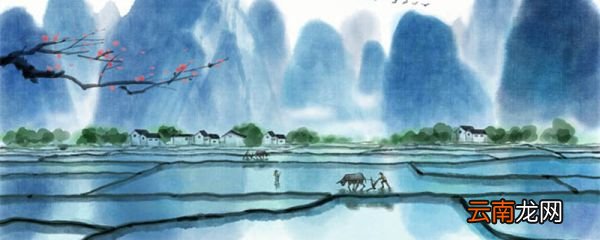 小雨杨万里古诗翻译 杨万里小雨古诗赏析