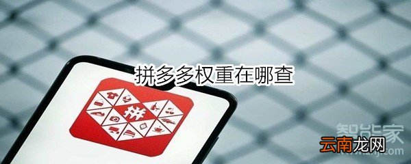 拼多多权重在哪查
