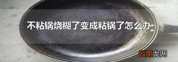 不粘锅烧糊了变成粘锅了怎么办