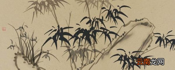 咬定青山不放松,立根原在破岩中的意思 咬定青山不放松立根原在破岩中指的是什么