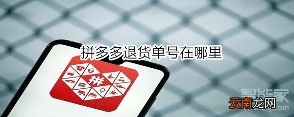 拼多多退货单号在哪里