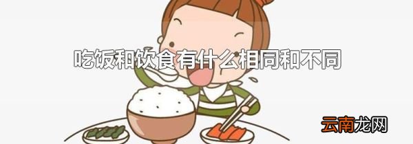 吃饭和饮食有什么相同和不同
