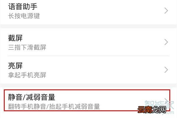 荣耀20青春版怎么设置翻转静音