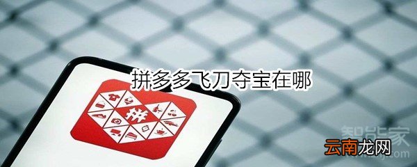 拼多多飞刀夺宝在哪