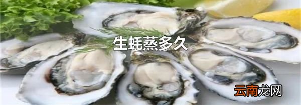 生蚝蒸多久