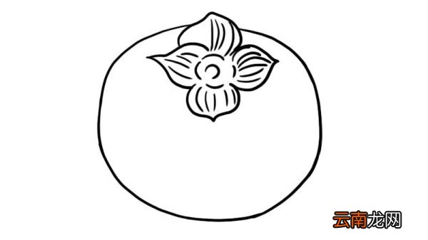 柿子简笔画 柿子简笔画怎么画