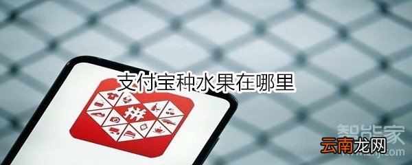 支付宝种水果在哪里