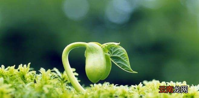蛰虫昭苏是什么意思?