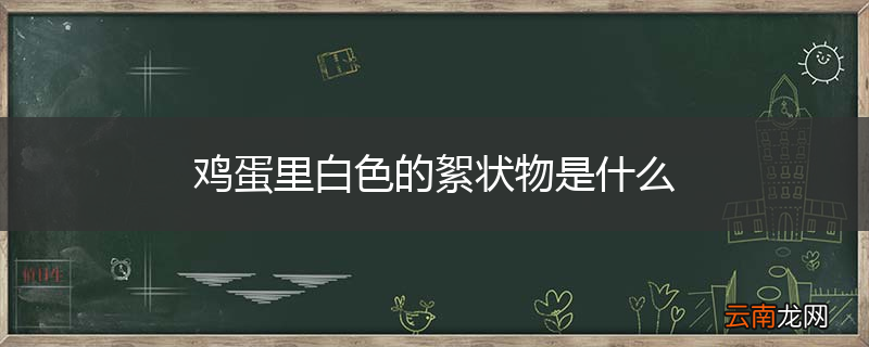 鸡蛋里白色的絮状物是什么