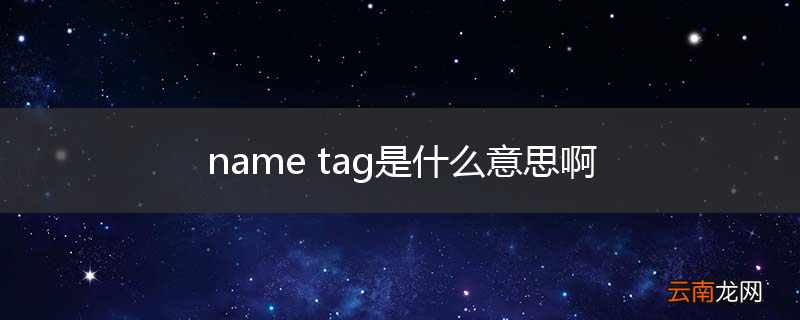 name tag是什么意思啊