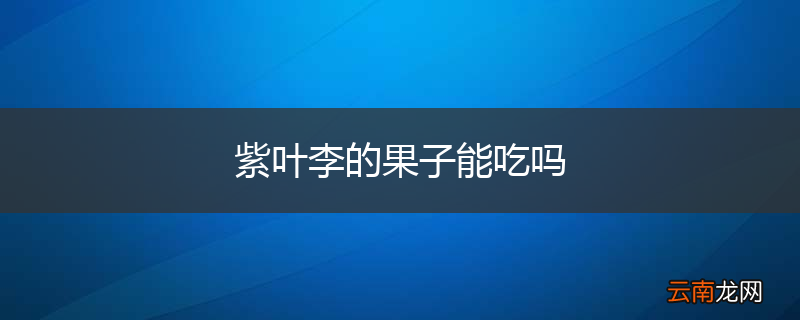 紫叶李的果子能吃吗