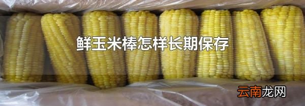 鲜玉米棒怎样长期保存