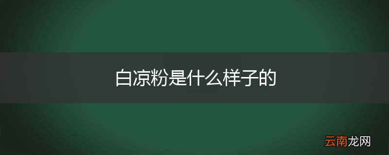 白凉粉是什么样子的