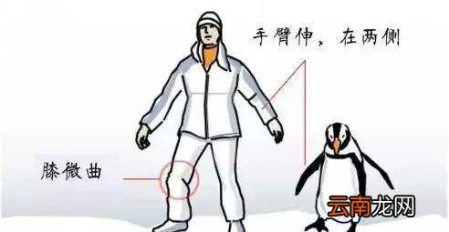 为什么人走路时胳膊前后摆动？