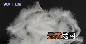为什么穿了羽絨服会觉得暖和?
