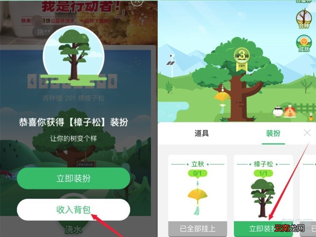 支付宝蚂蚁森林怎么换树的图案