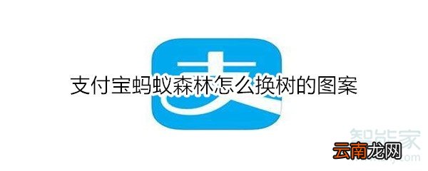 支付宝蚂蚁森林怎么换树的图案