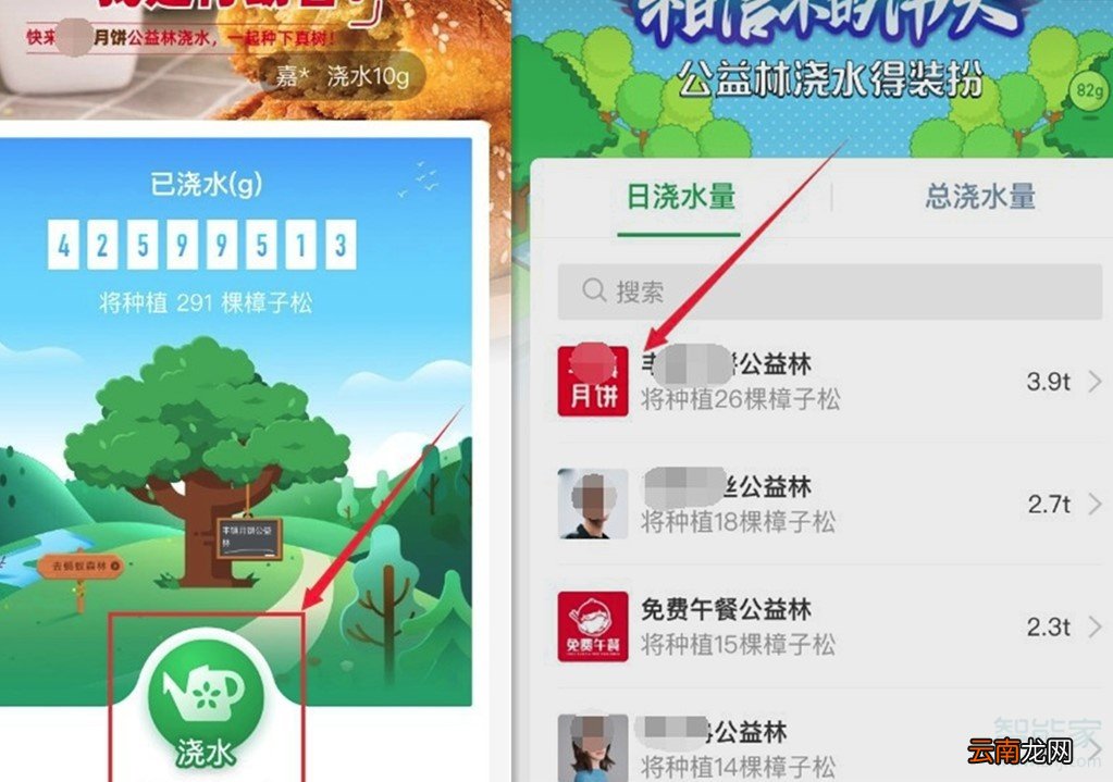 支付宝蚂蚁森林怎么换树的图案