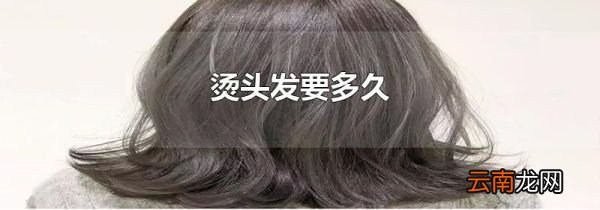 烫头发要多久