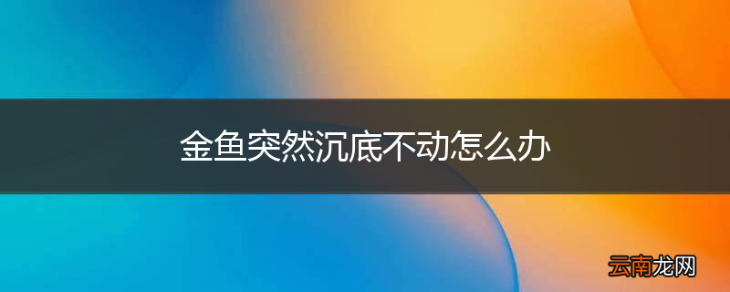 金鱼突然沉底不动怎么办