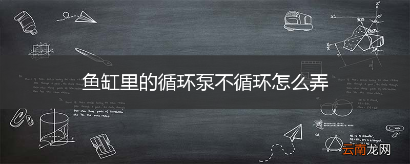 鱼缸里的循环泵不循环怎么弄