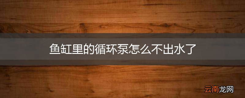 鱼缸里的循环泵怎么不出水了