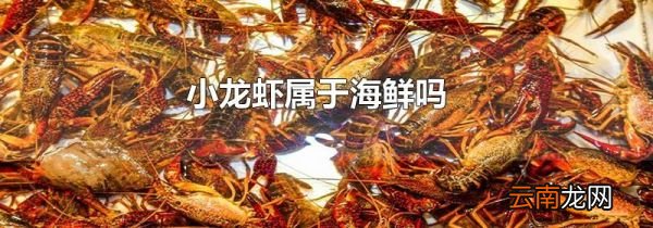 小龙虾属于海鲜吗