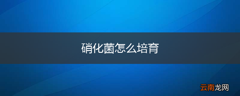 硝化菌怎么培育