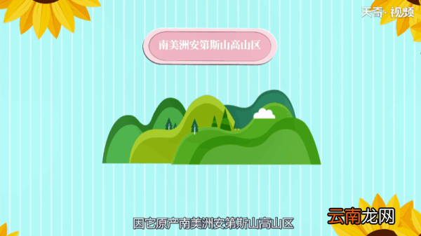 马铃薯是用什么繁殖的 马铃薯繁殖是用什么
