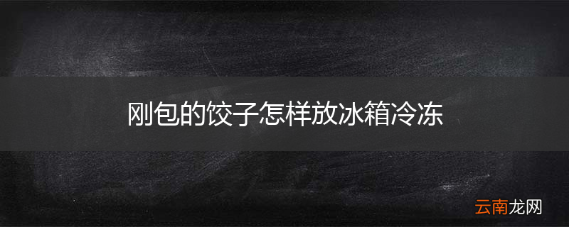 刚包的饺子怎样放冰箱冷冻