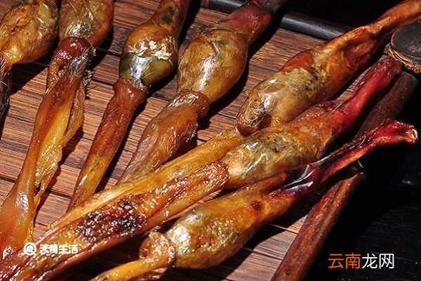 狗肾的功效与作用 狗肾的做法