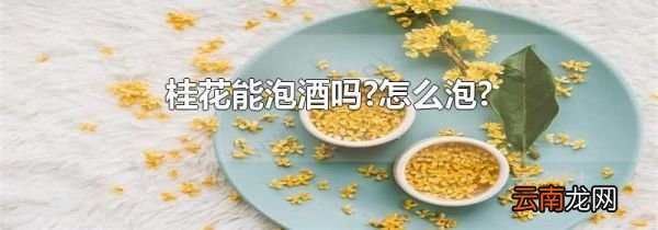 桂花能泡酒吗?怎么泡?