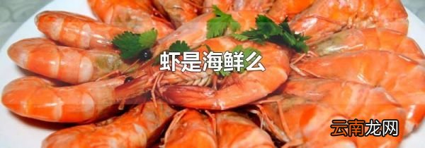 虾是海鲜么