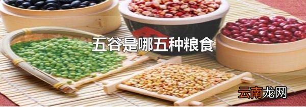 五谷是哪五种粮食