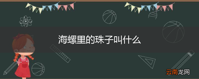 海螺里的珠子叫什么
