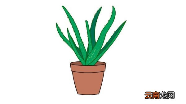 花盆简笔画