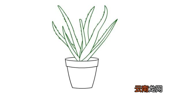 花盆简笔画
