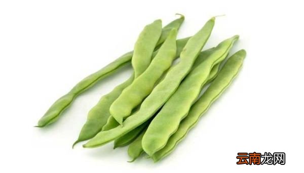 怎么判断芸豆熟没熟 怎么判断芸豆是否熟了