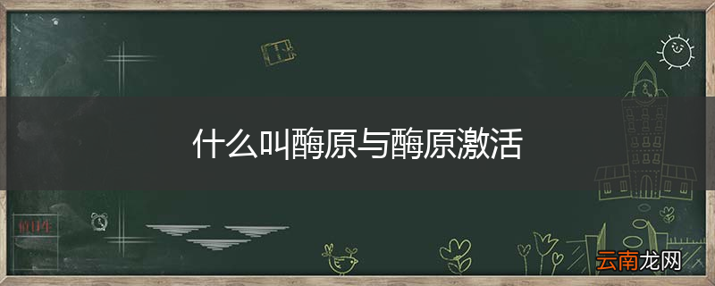 什么叫酶原与酶原激活