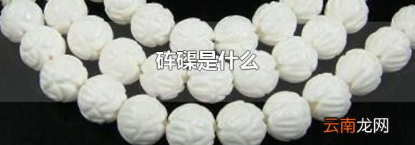 砗磲是什么
