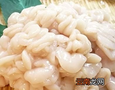 白子是什么？