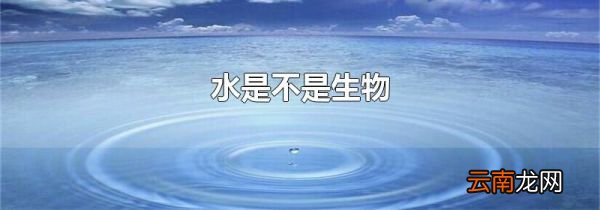 水是不是生物