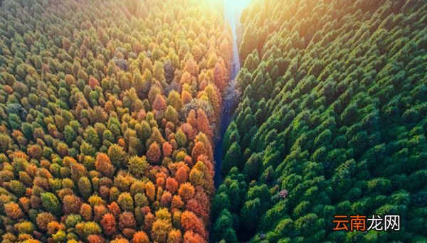 山王坪在重庆什么地方 山王坪的位置在哪