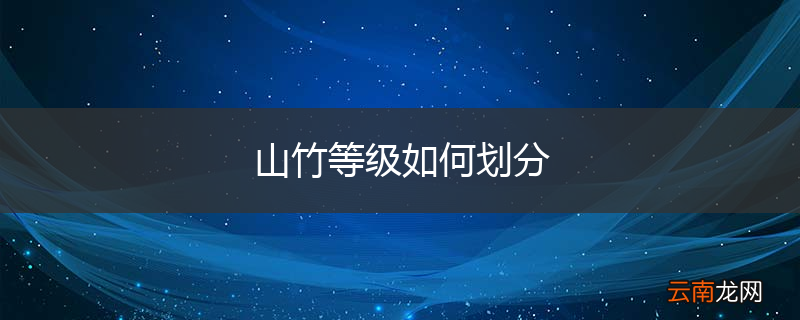 山竹等级如何划分