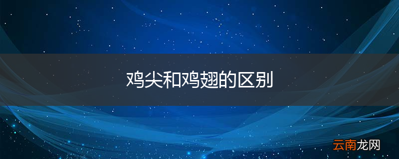 鸡尖和鸡翅的区别