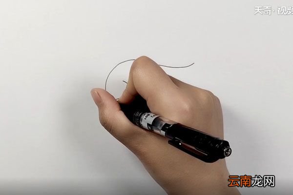 鲨鱼简笔画