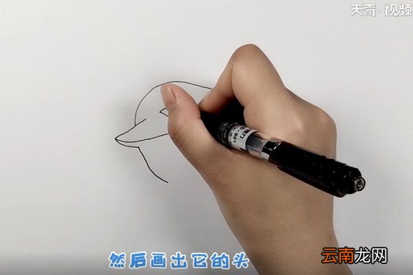 鲨鱼简笔画