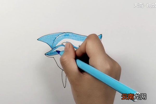鲨鱼简笔画
